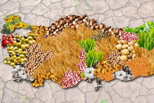 Produits D'Exportation Turcs Bon Marché