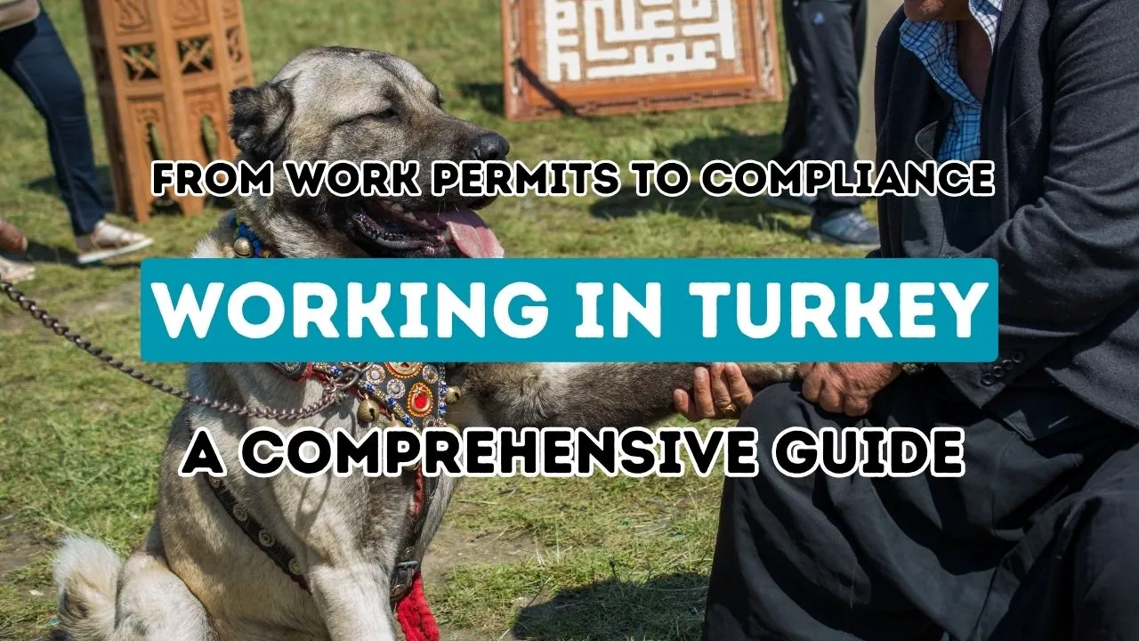 Un manuel détaillé pour l'emploi en Turquie : naviguer entre l'autorisation de travail et le respect de la réglementation