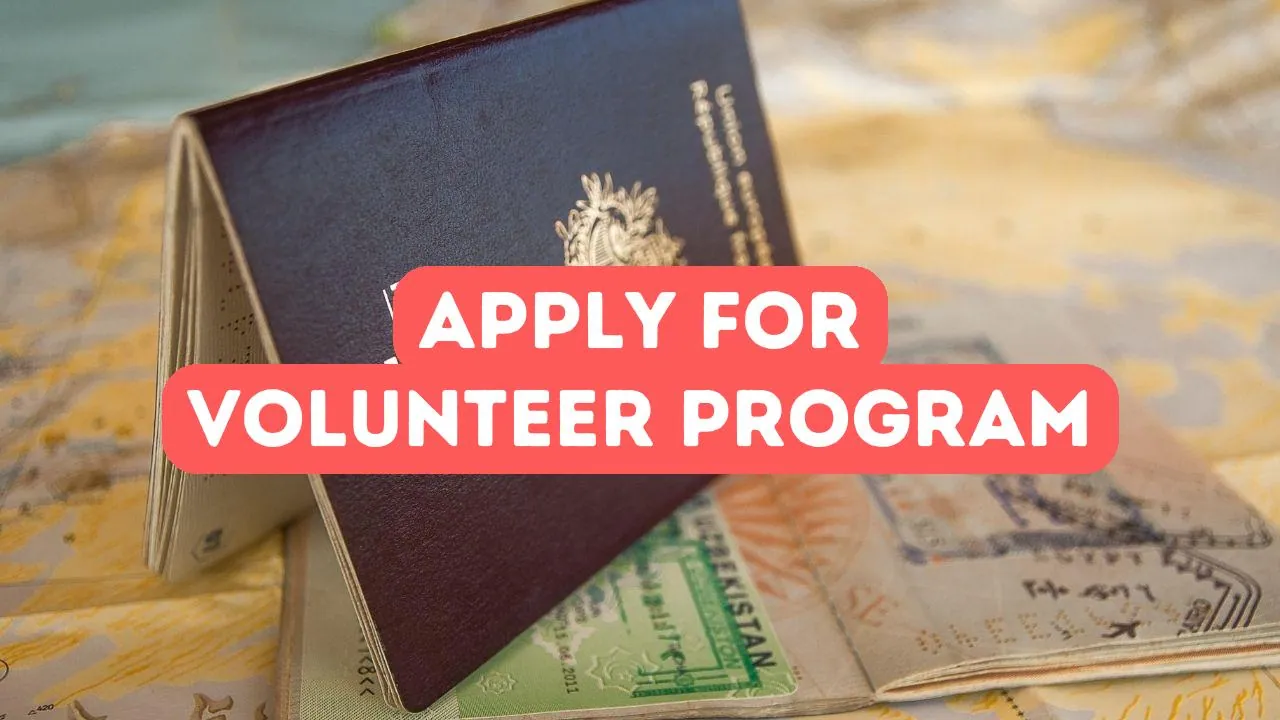 Comment postuler pour un programme de volontariat turc