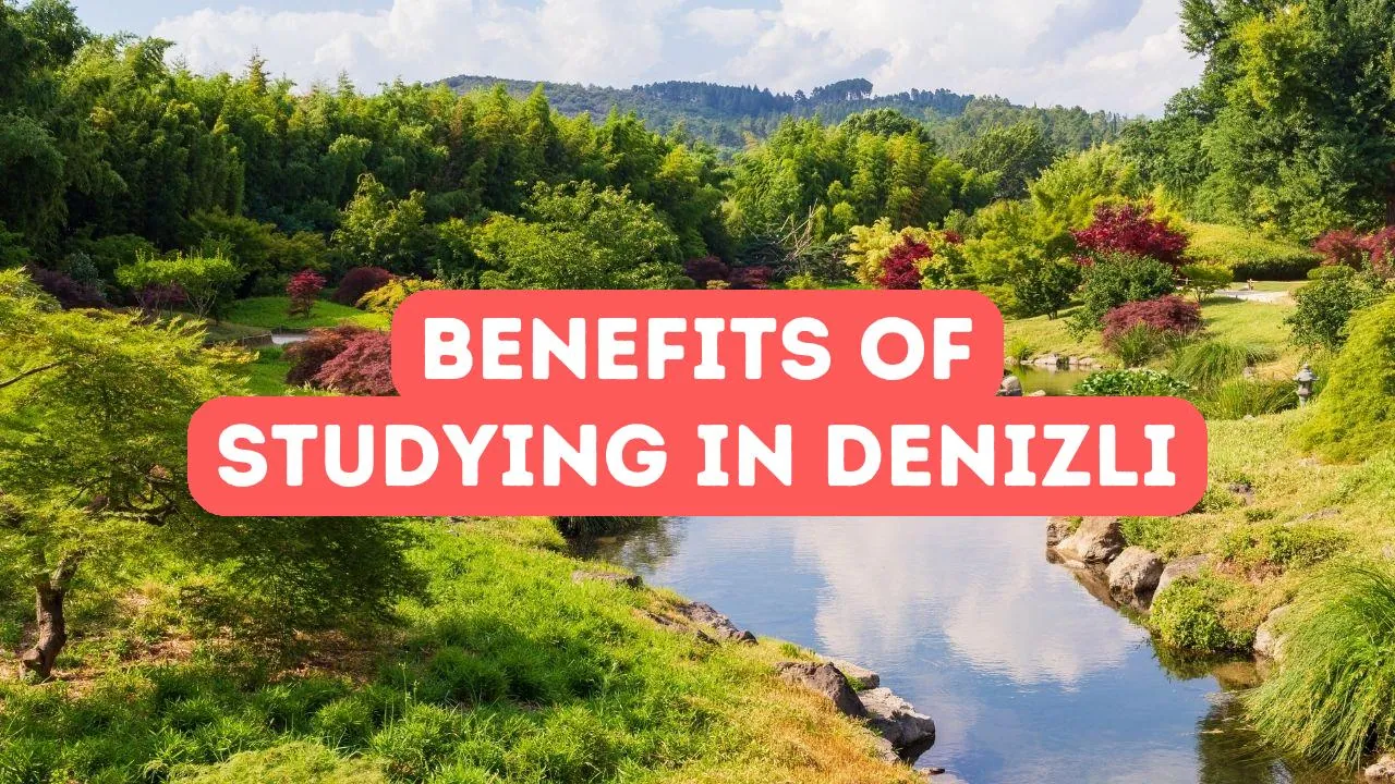Benefits of Studying in Denizli