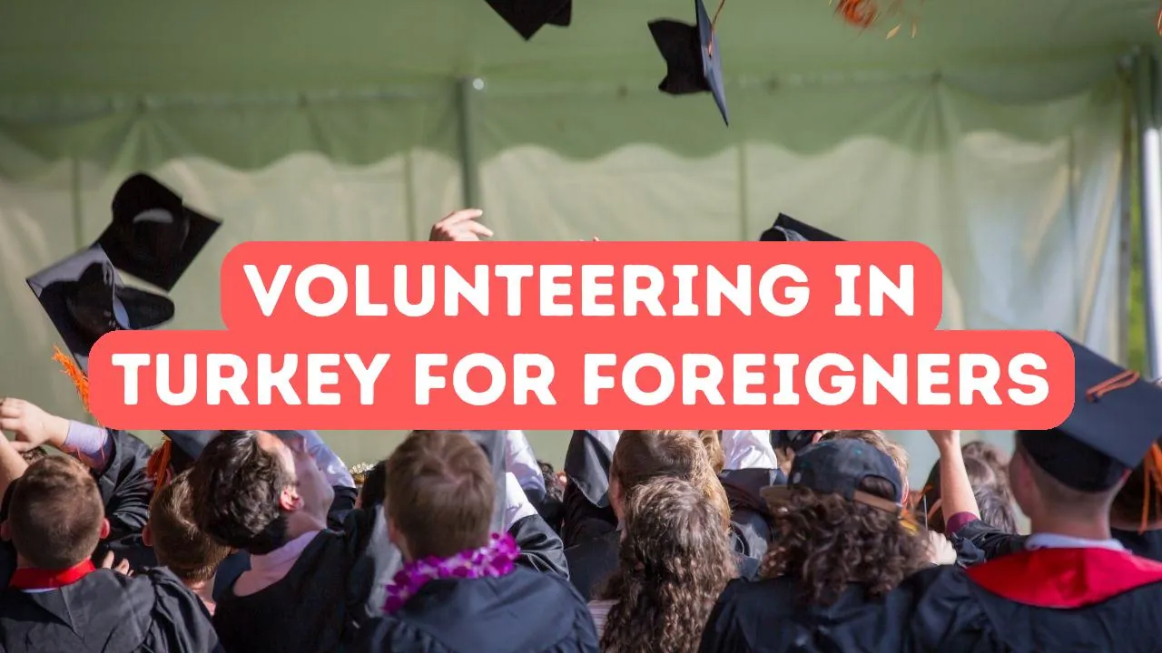 Opportunités de bénévolat en Turquie pour les étrangers