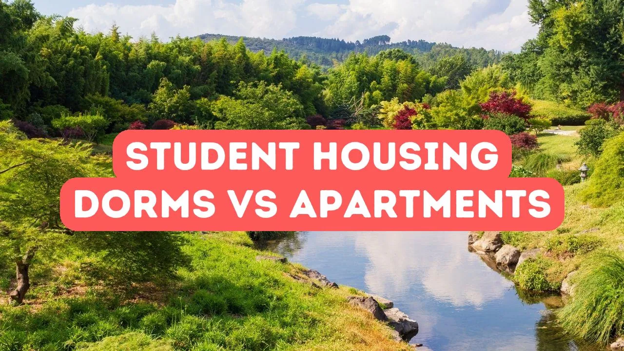Student Housing: Dorms vs Apartments in Turkey